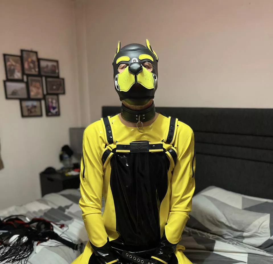 Rubber pupper