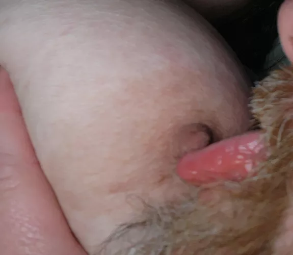 A quick taste of heaven