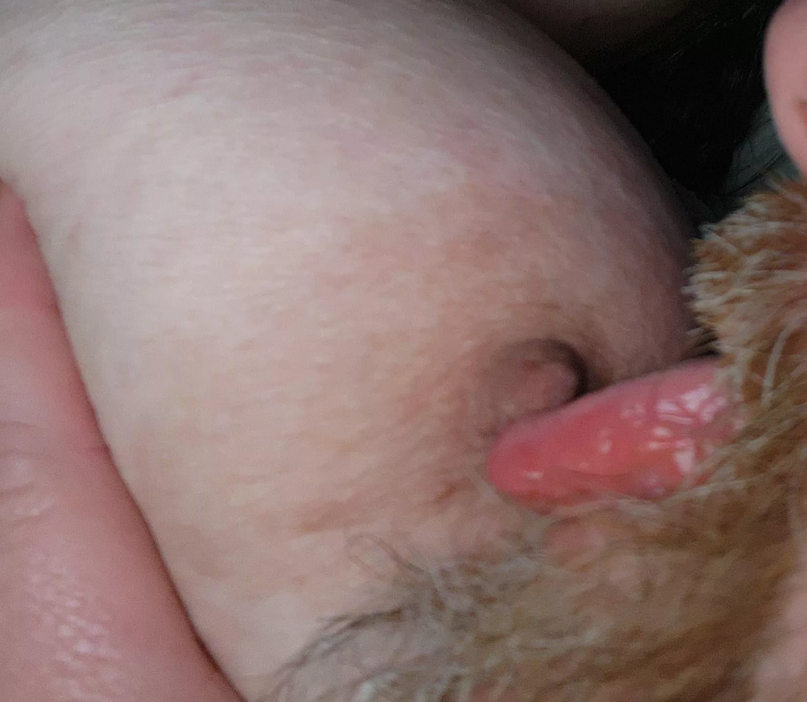 A quick taste of heaven