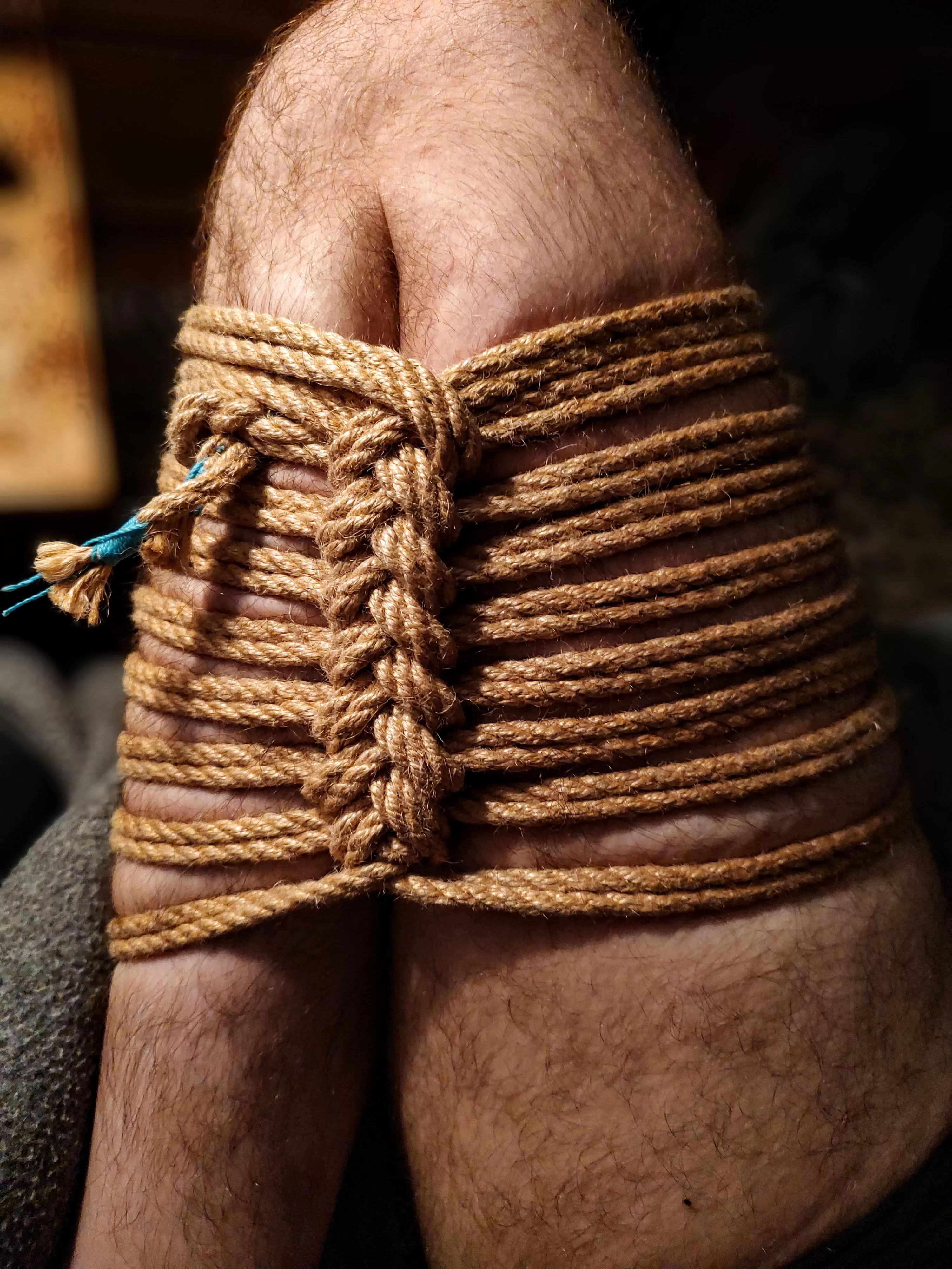 Another day, another futomomo variation