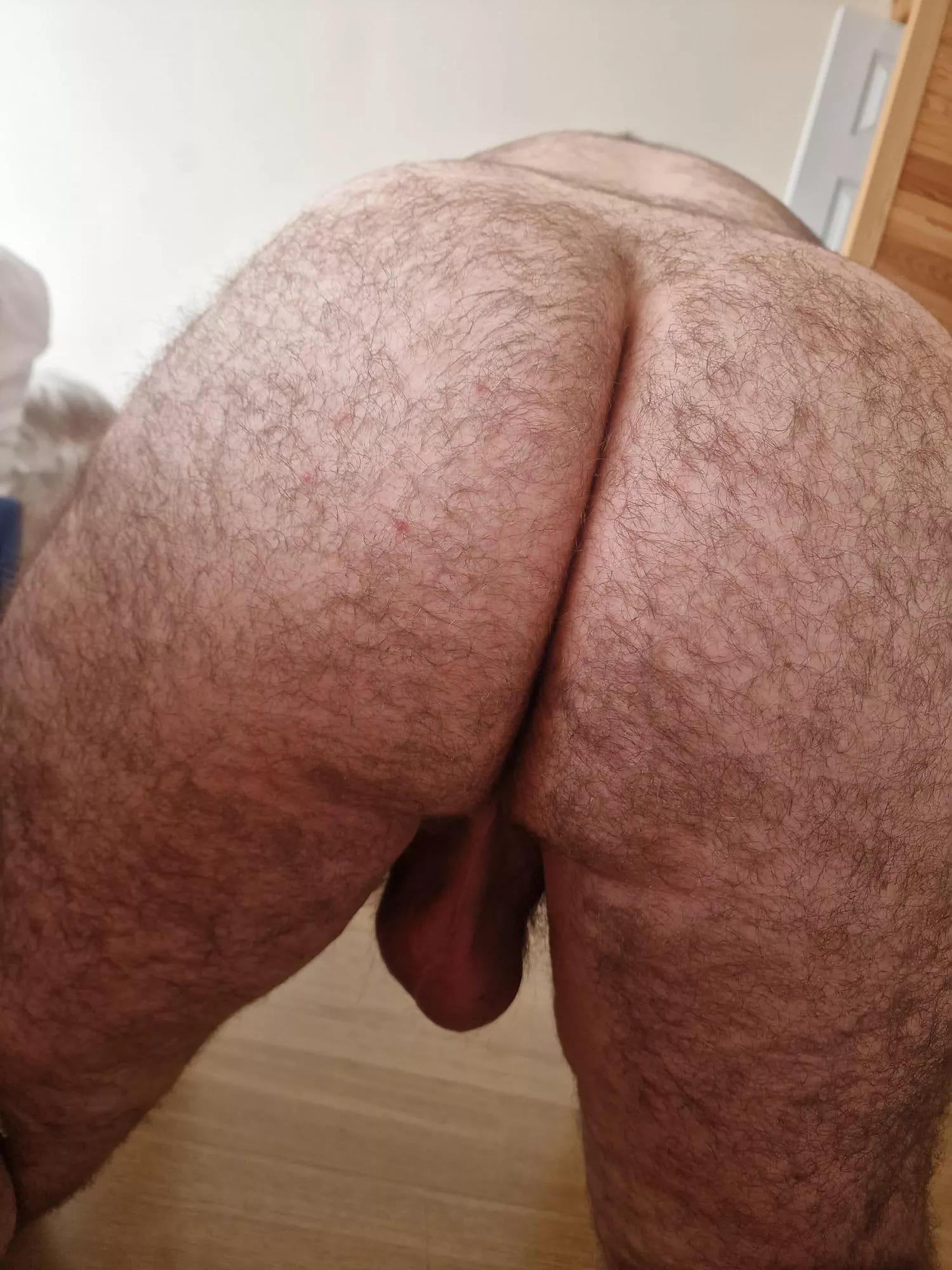 Beary dad 👀 for a seat…