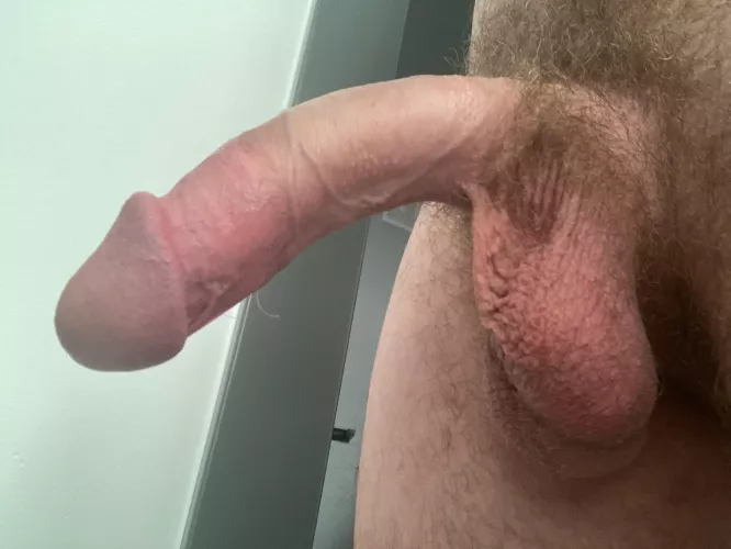 Do you like my cut cock?