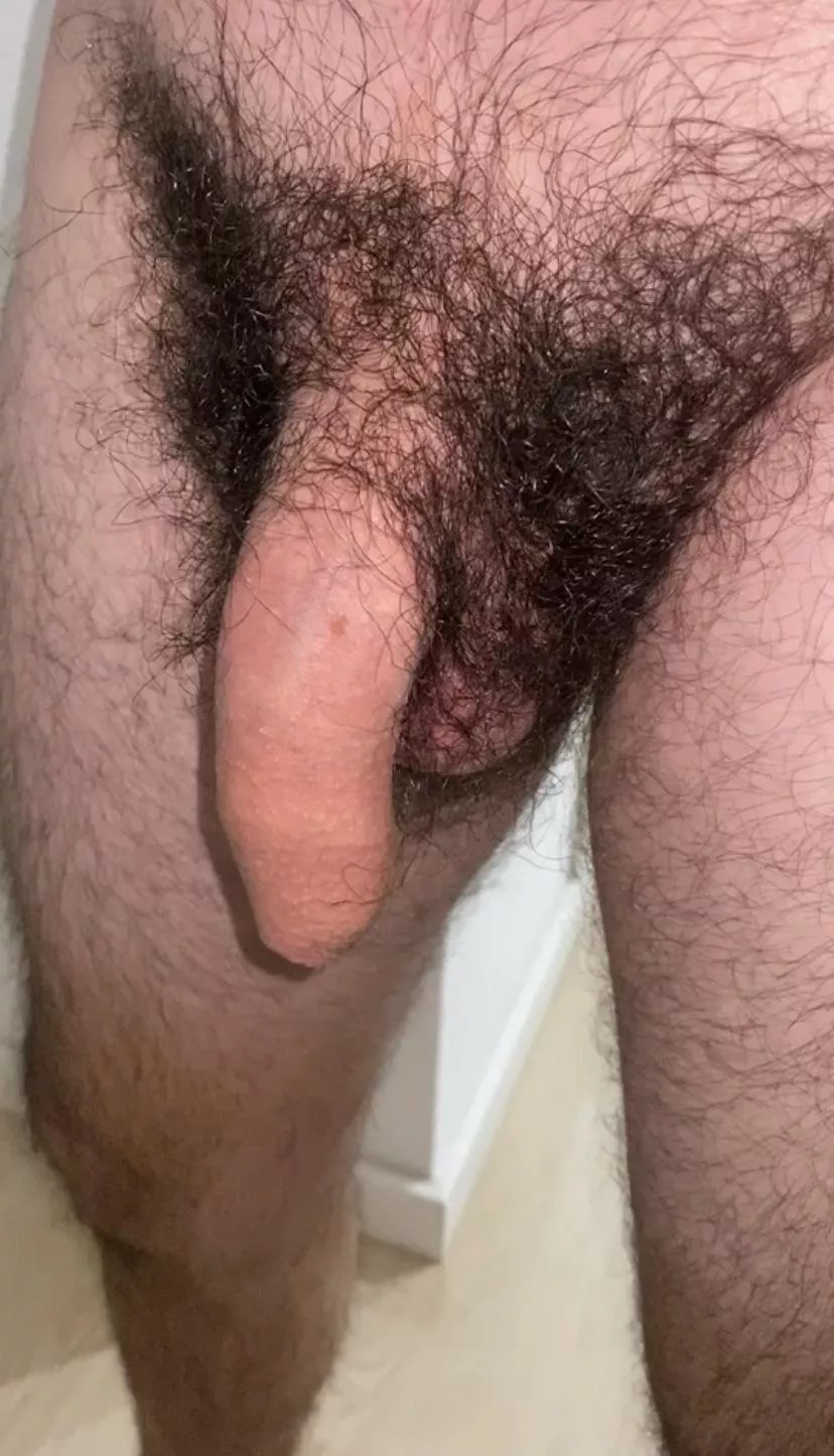Do you think I should trim a bit or maybe shave?