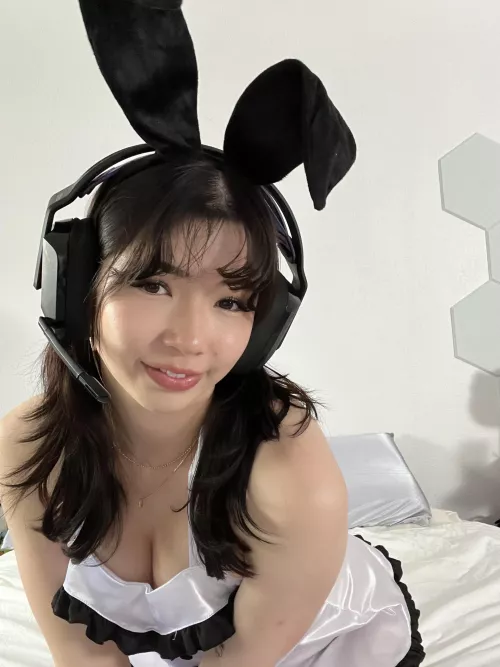 Emotional support bunny