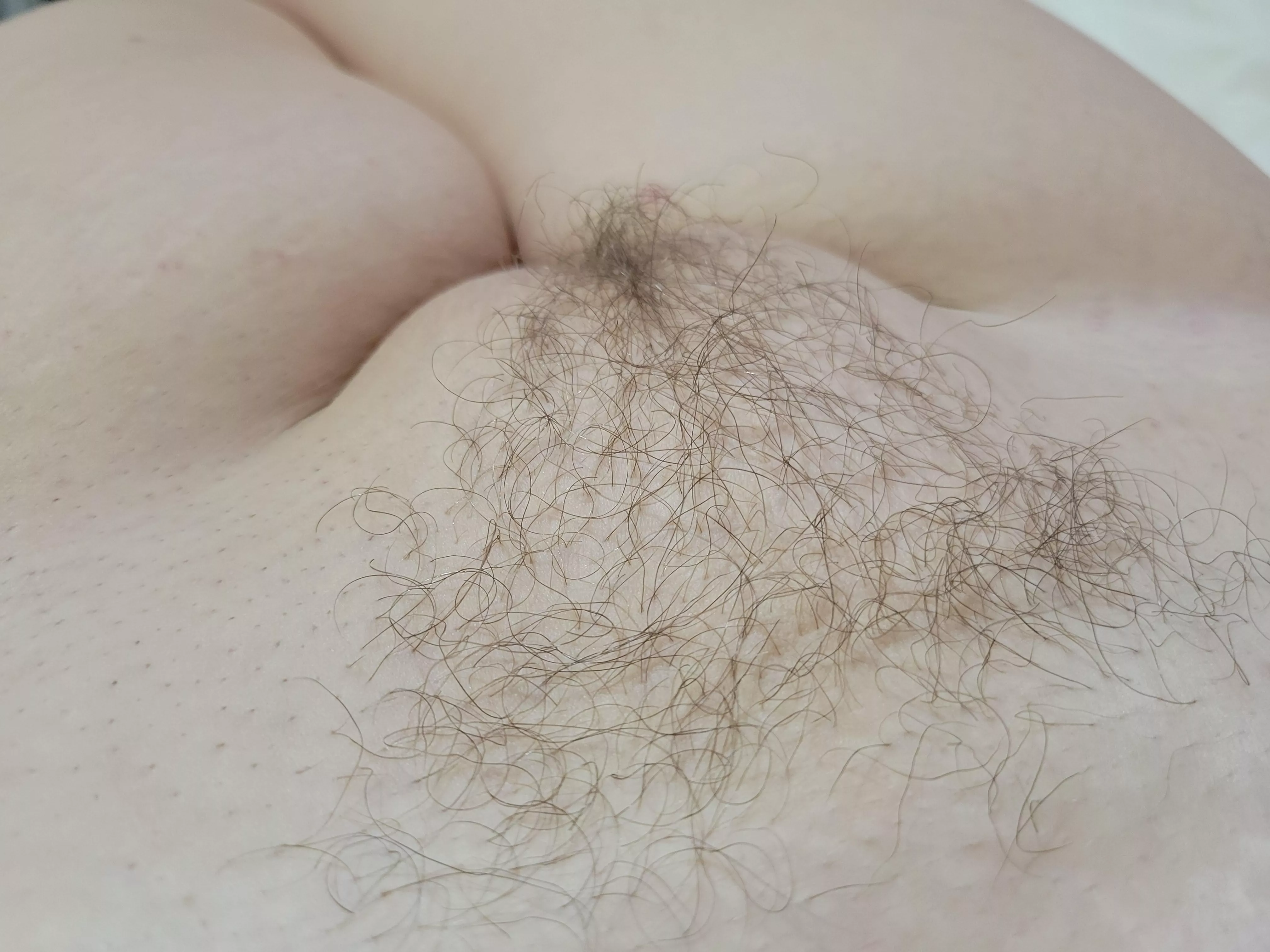 Hairy little triangle!