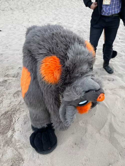 I think something went wrong....