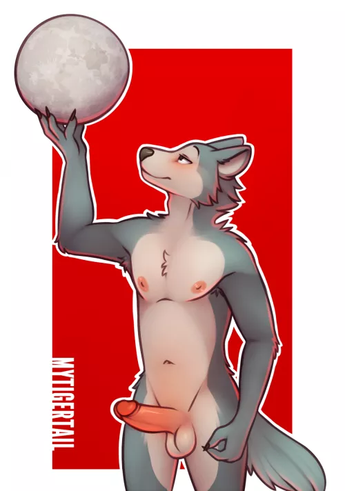 Introduction Upon The Full Moon (mytigertail)