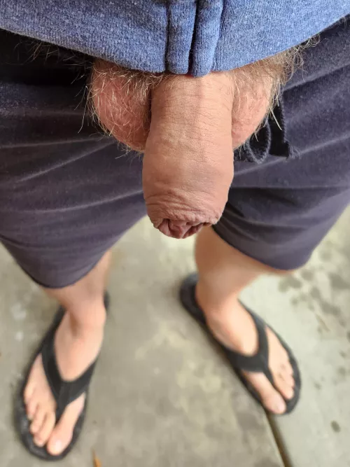 It's July and a balmy 11°C (52°F)! After all the heat lately, I'll take it!