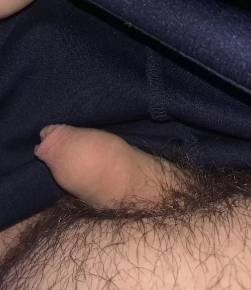 Looking for 🍆 pics