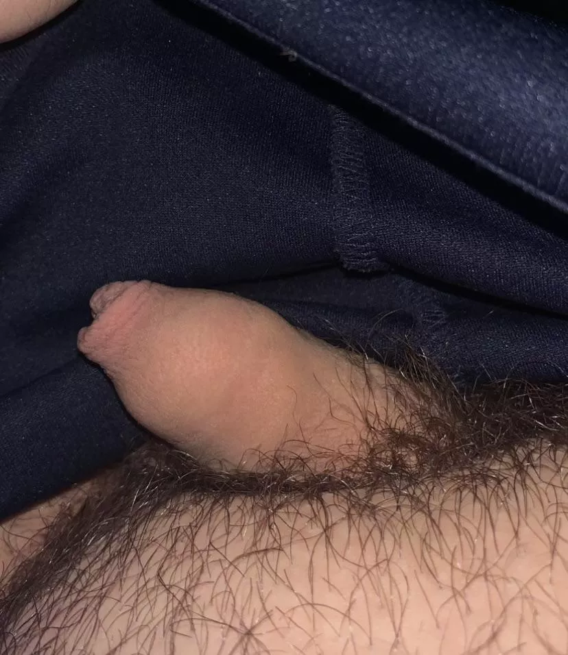 Looking for 🍆 pics
