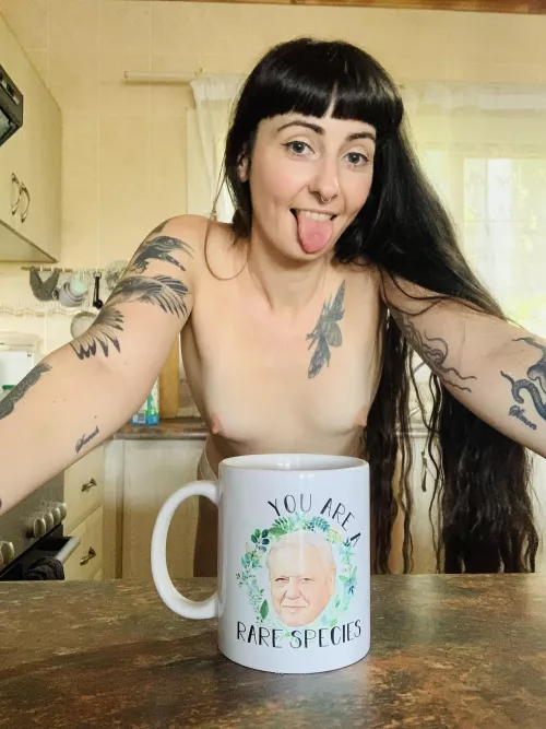 POV - your new British housemate makes you a cup of tea