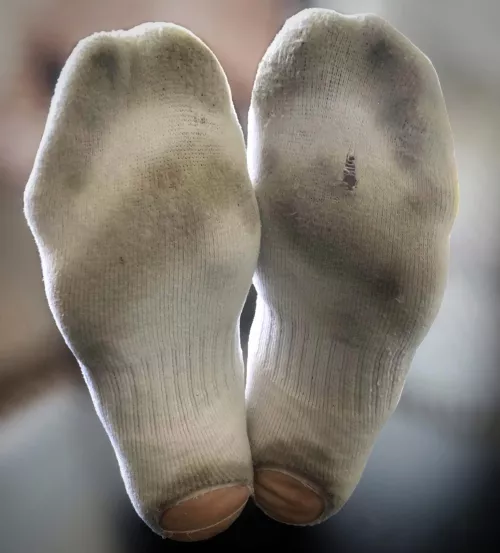 Stinky Old Nike Socks 😋