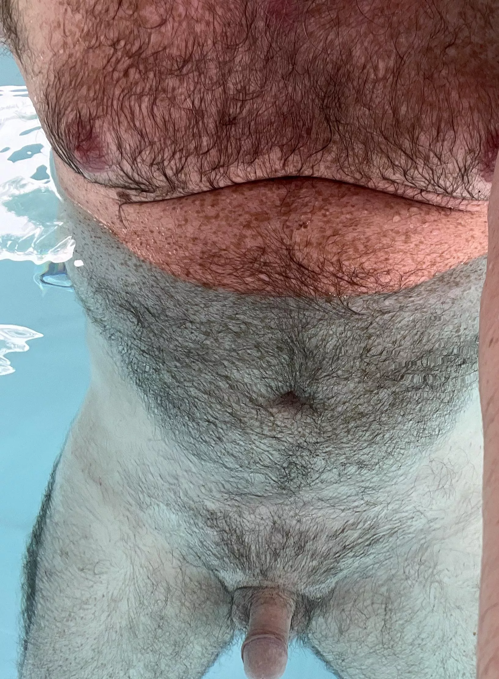 [50] looking to chat, swap pics with horny hairy daddies. DMs open.