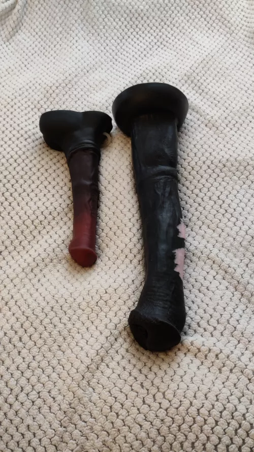 A new challenger has arrived 😈