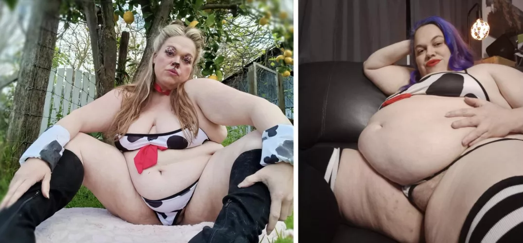 Fattened up for breeding