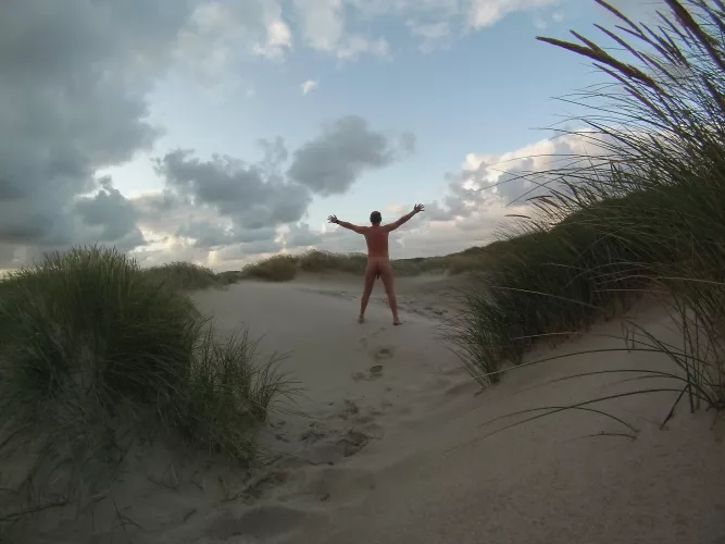 on a chilly summer morning in the dunes