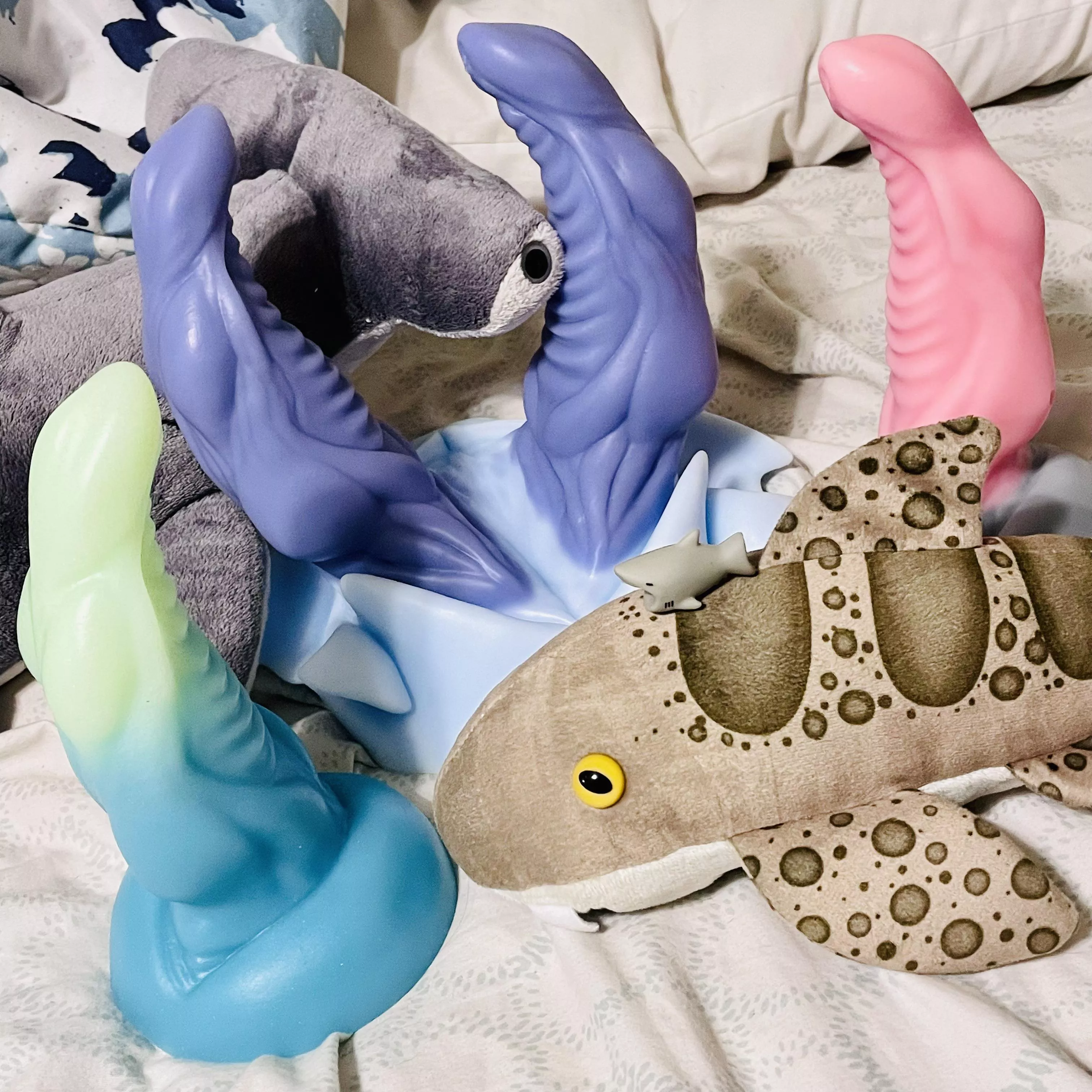 The collection grows…