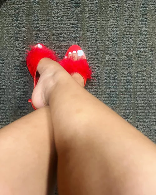 Vintage Fredricks of Hollywood