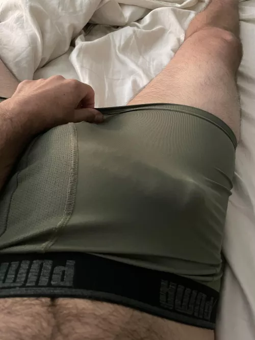 Want to play hide and seek ?