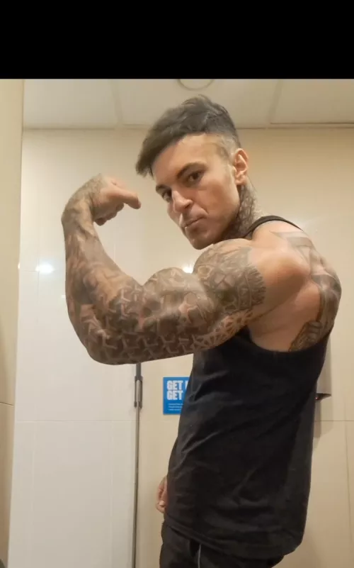 Your British alpha is ready for you ;)