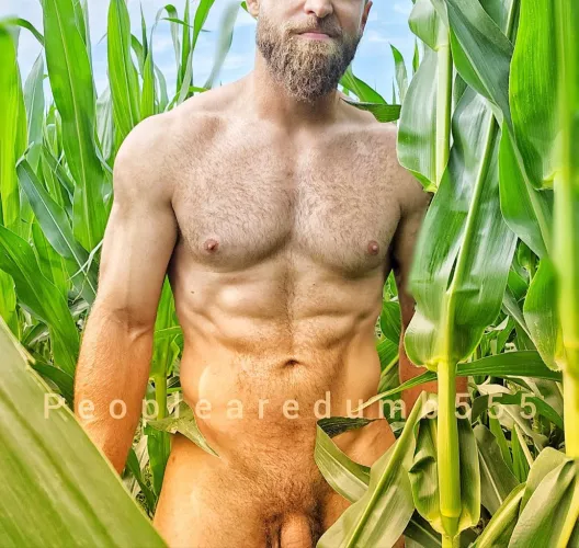 Anyone wanna be my hand? [36]