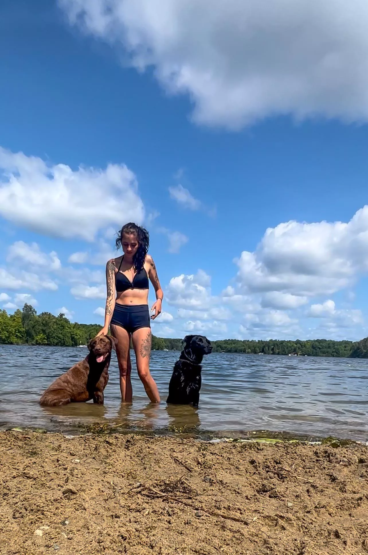 Beach day with the dogs