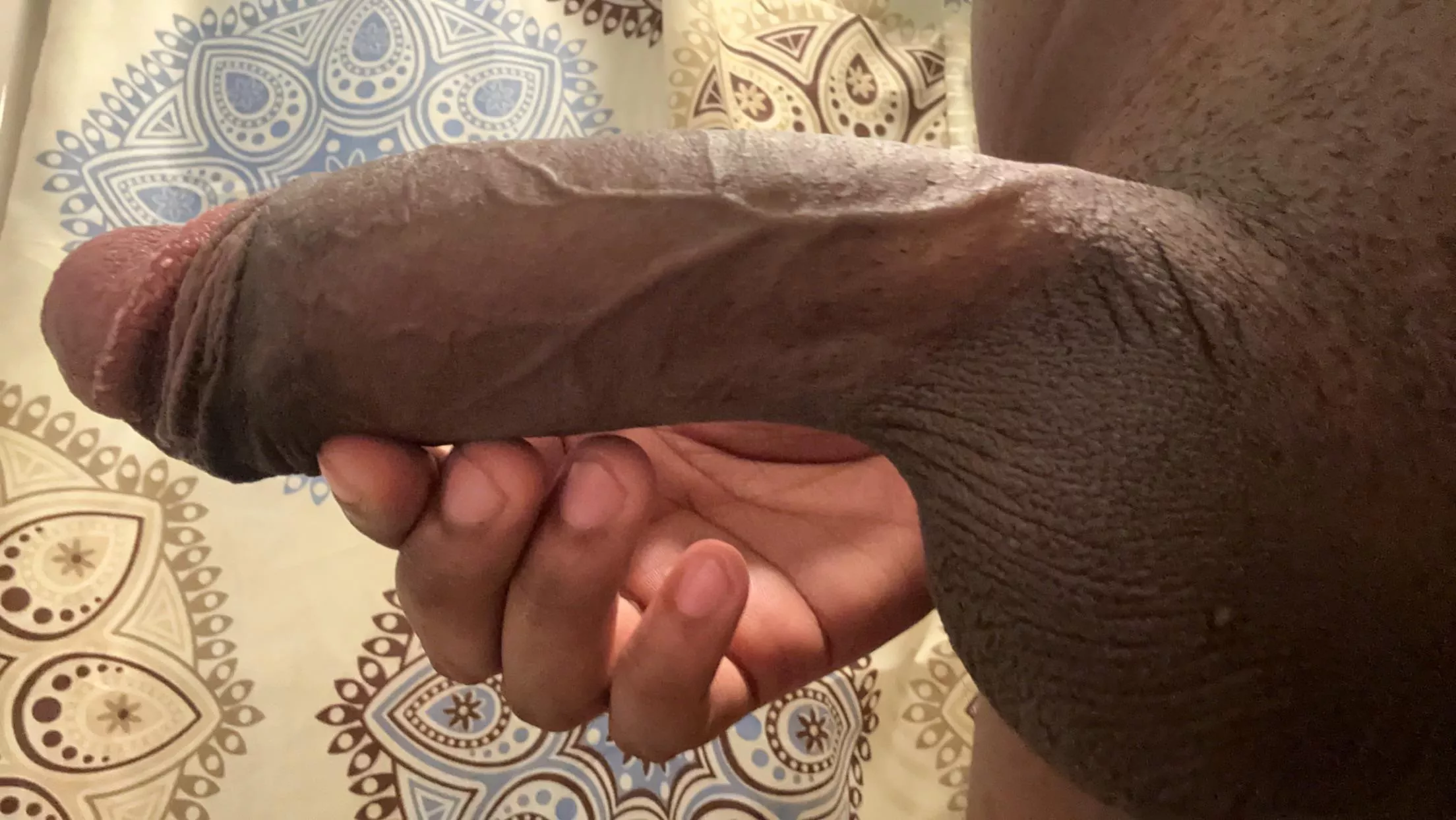 He doesn’t bite, but he may poke a little