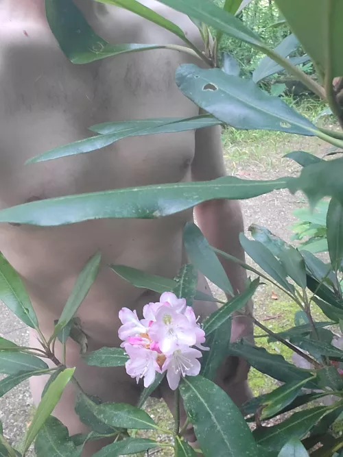 I got lost in the woods.