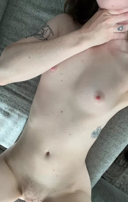 Perky nips this morning 🩵