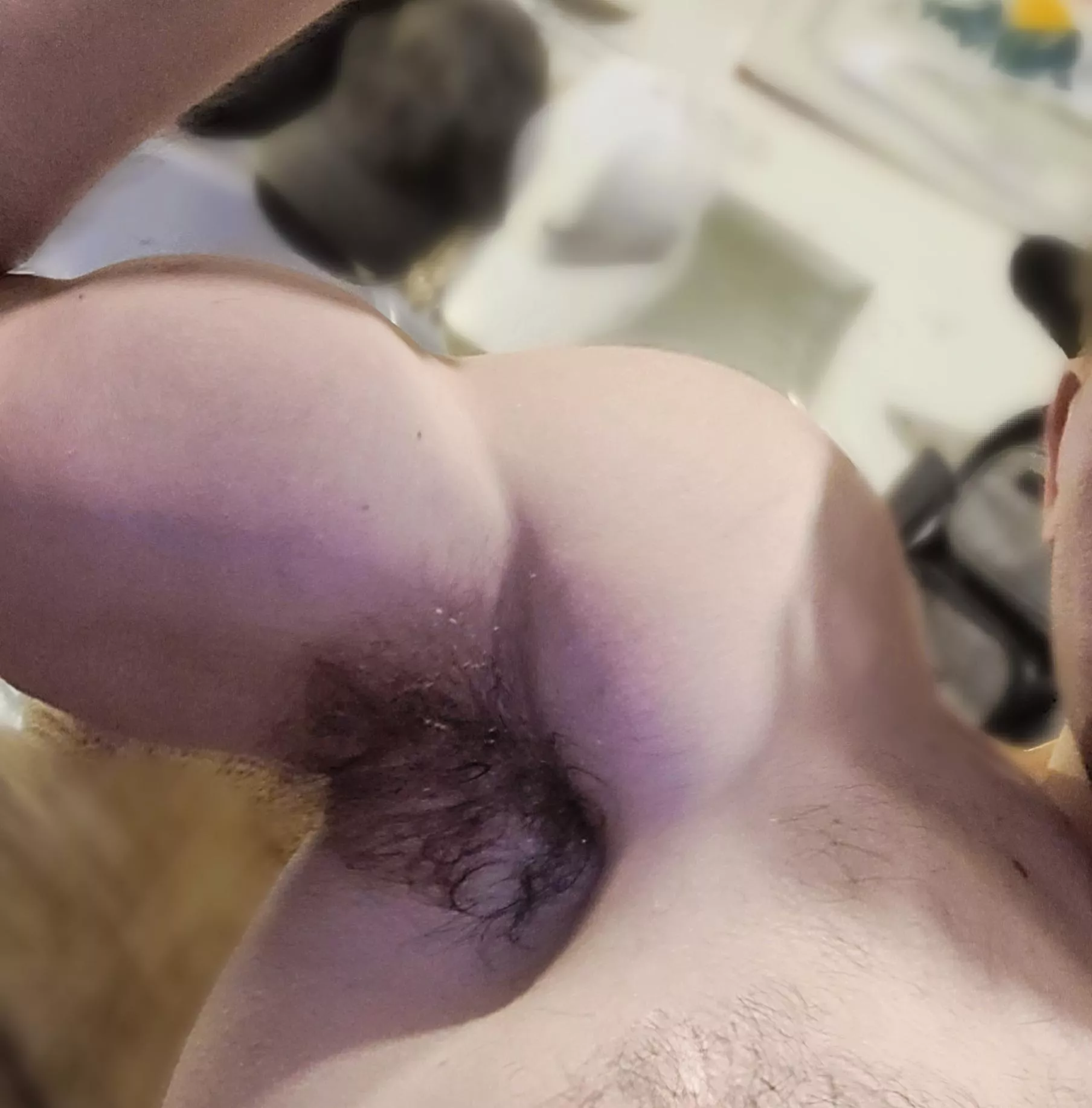 Brooo if only you could smell my post workout pit right now 🤤 my pit musk makes my asshole tingle 🥵