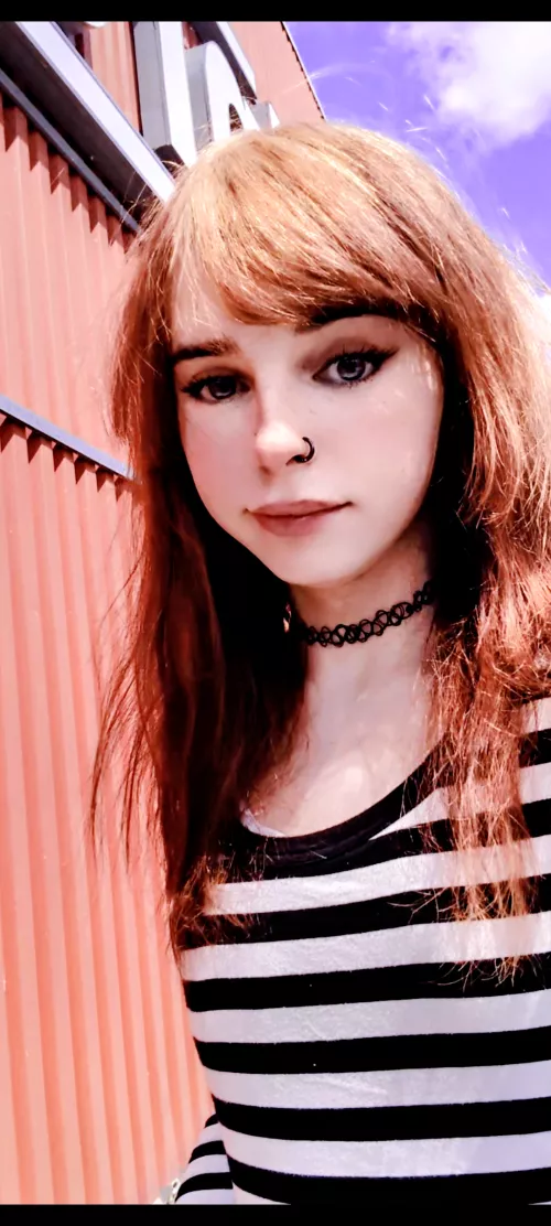 Fall is almost here 🦇🍁🕷️🕸️