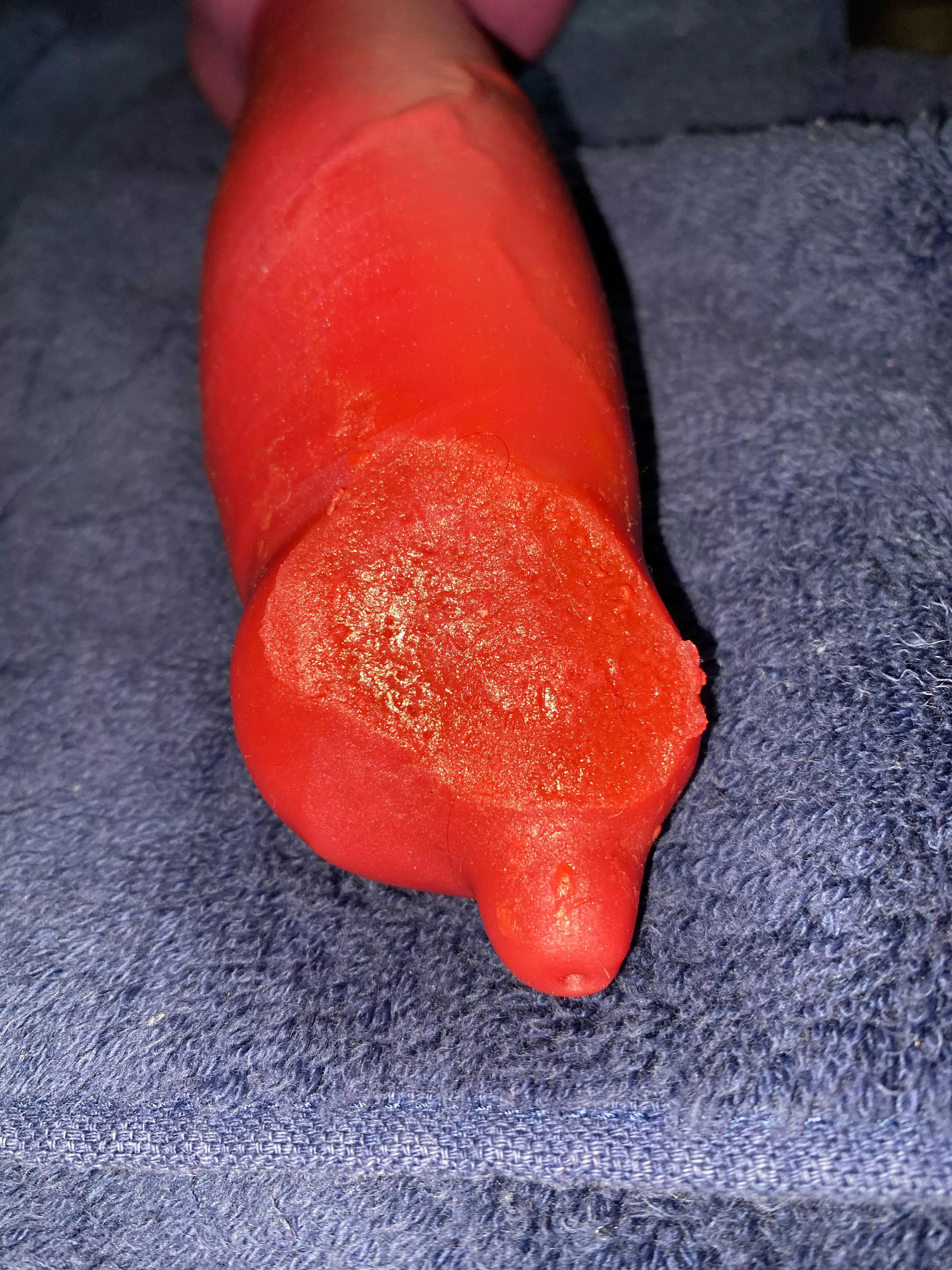 Large Rex (BD) melted… looking for advice! Large Rex (BD) melted… looking for advice!