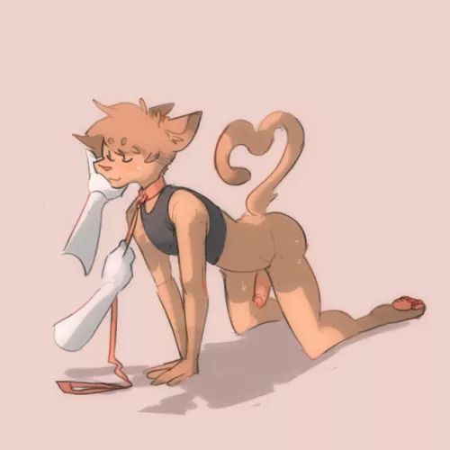 Puppy (Pochowek)