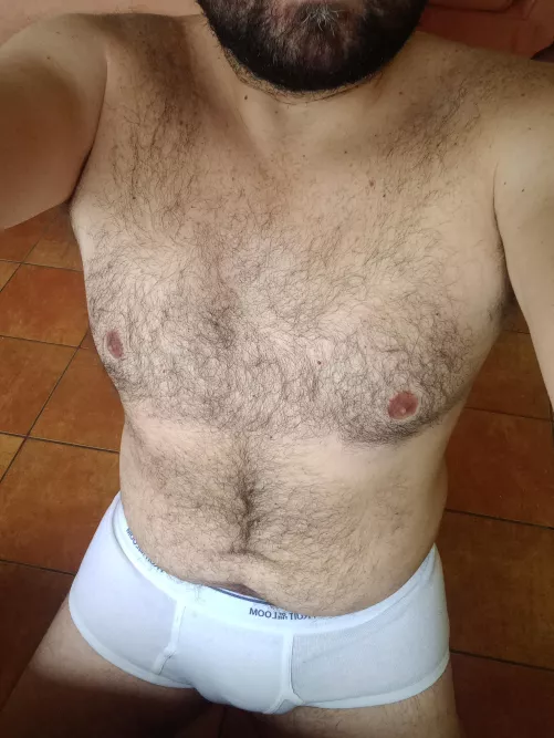 Teletravail im briefs [37]