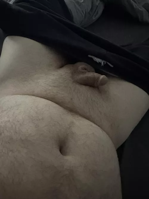 The little guy says happy hump day!