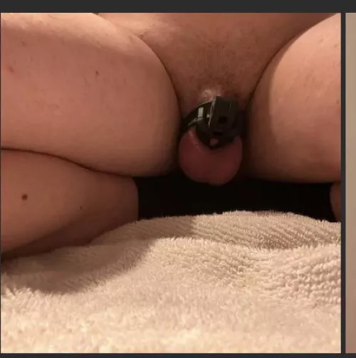 This seems permanent