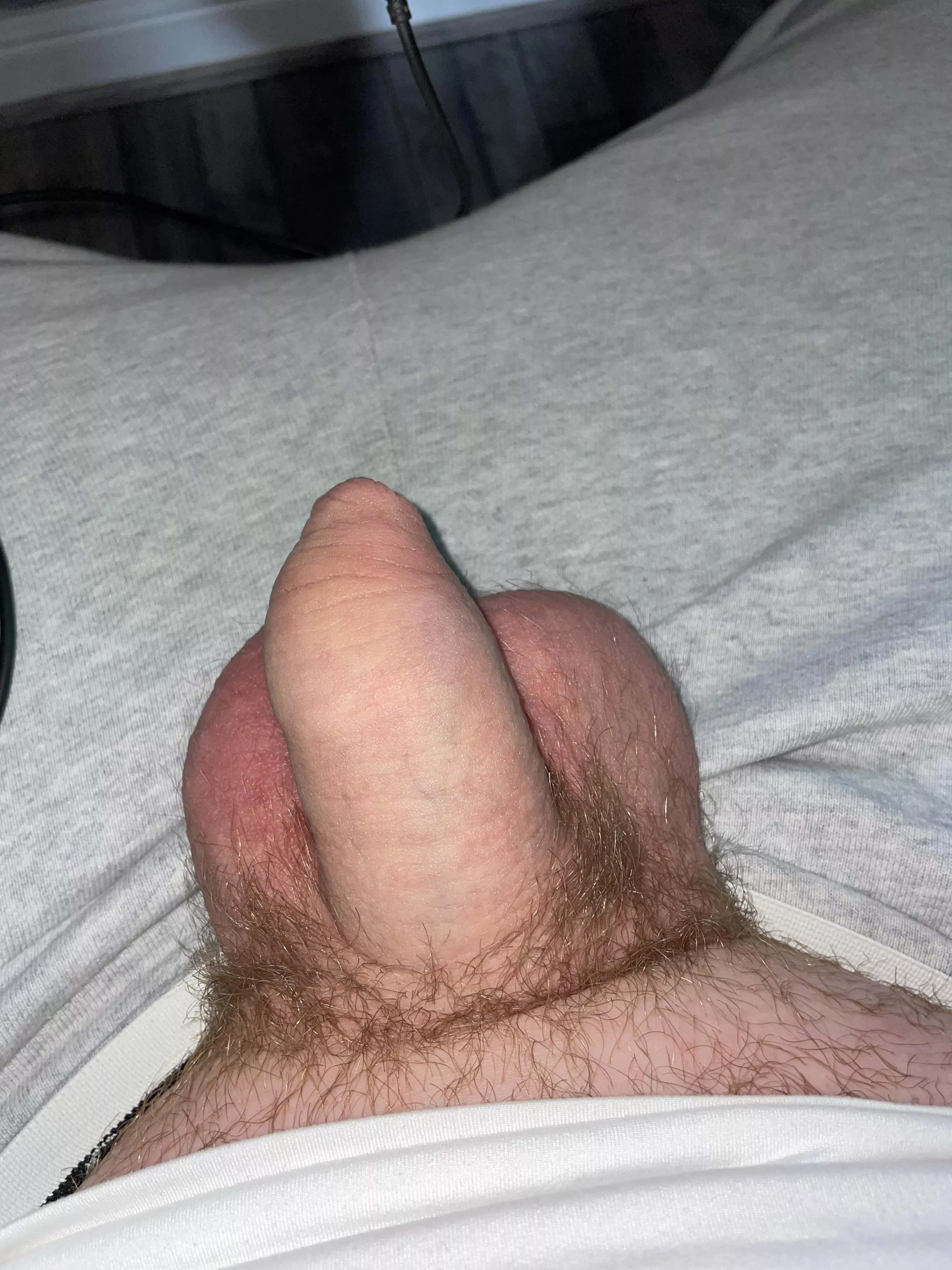 What do you think of the little guy?