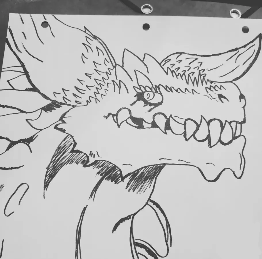 A drawing of a dragon (it doesn't have a name, give it one if you want)