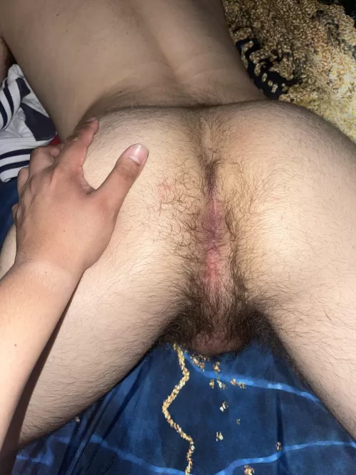 Hairy hole and a hairy body