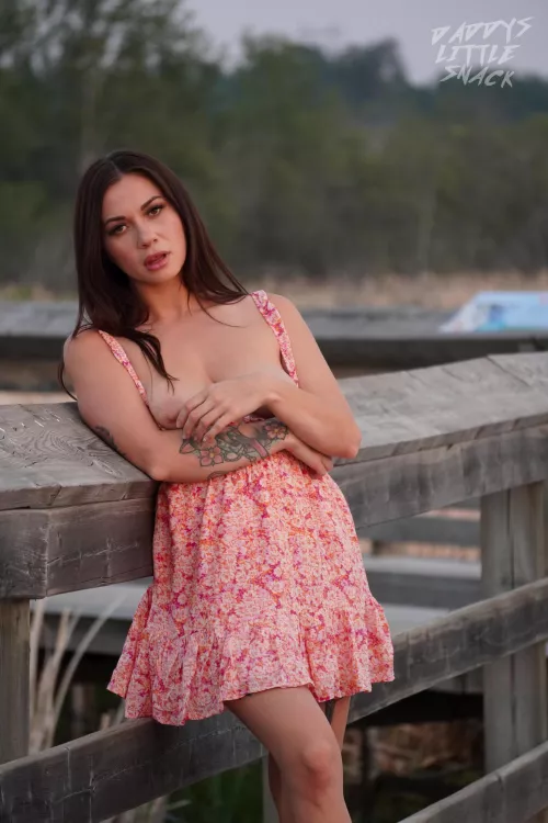 I love watching birds at sunset