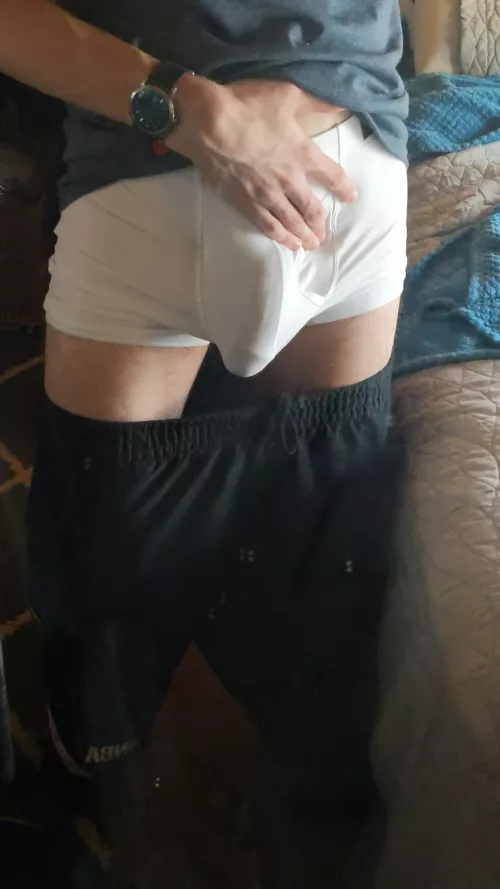 Is this what you came here for?