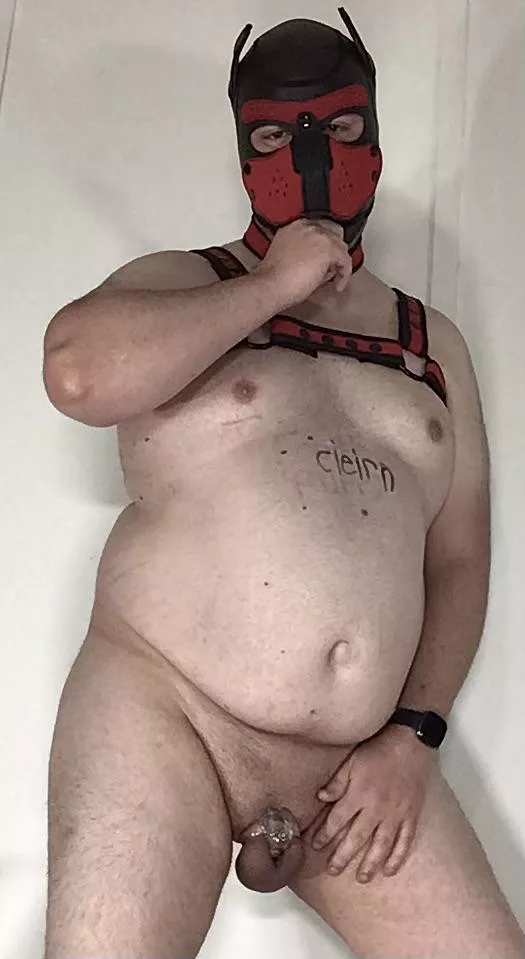 Keyholder required I share a puppy pic here