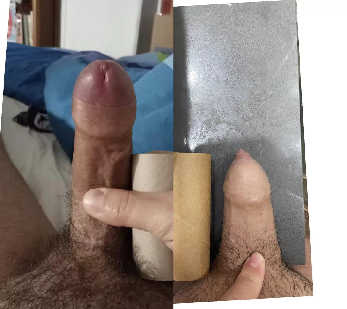 My asian dick lost to u/alremad’s cock! First compare of the day and im losing.