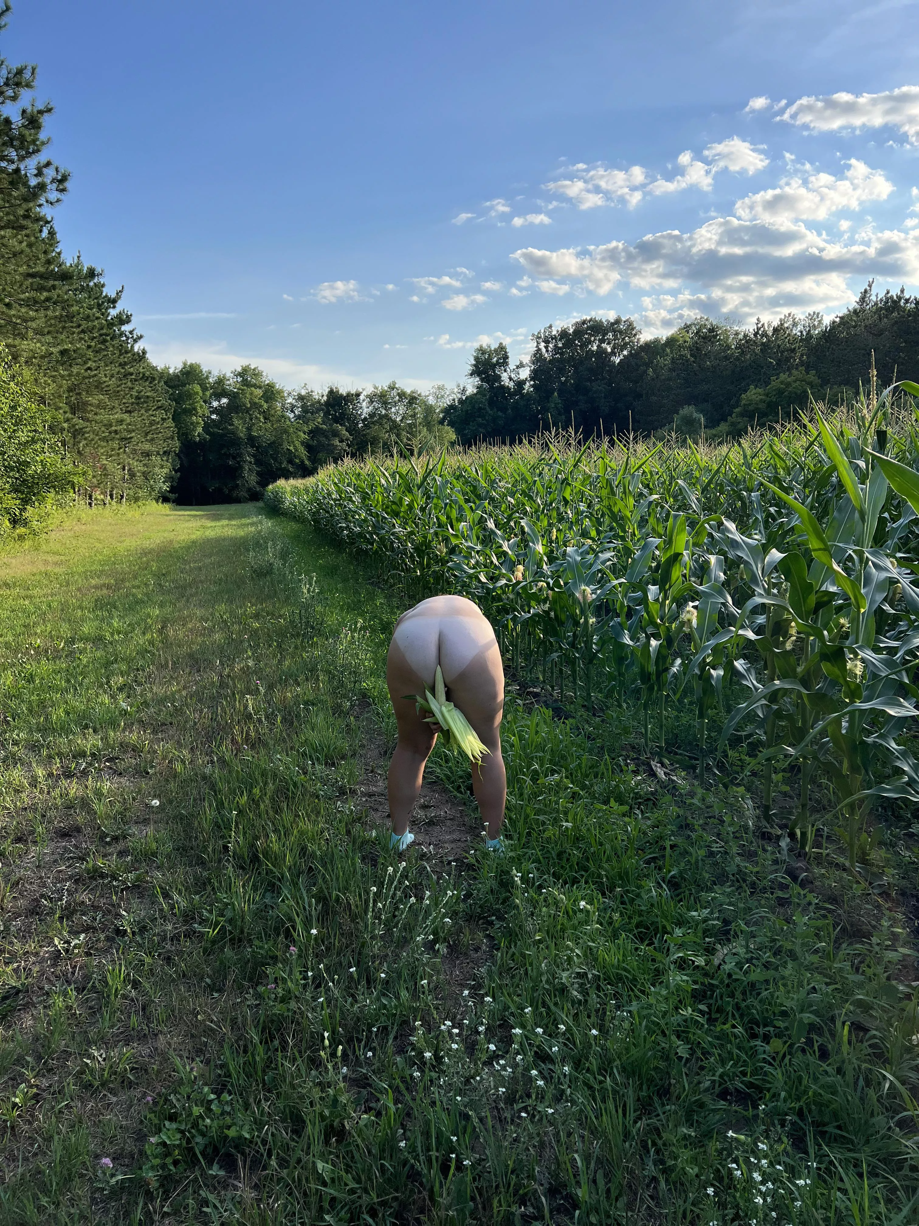 So… hear me out… this may get a little wild…