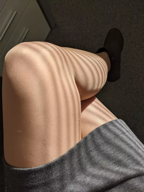 Sunny stripes through the office window