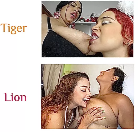 Who got a stronger bite force?Source on comment