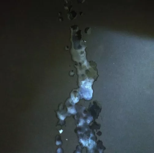 Who want see the video of it