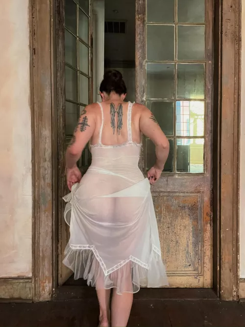 1920's sheer slip from behind