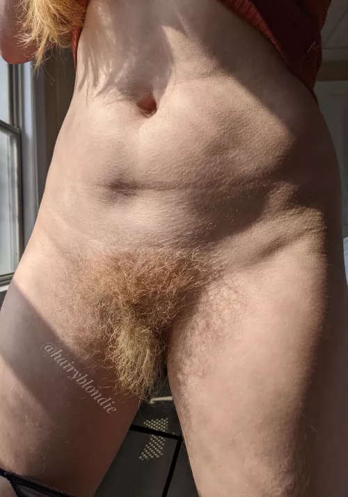 Does the length intimidate you?