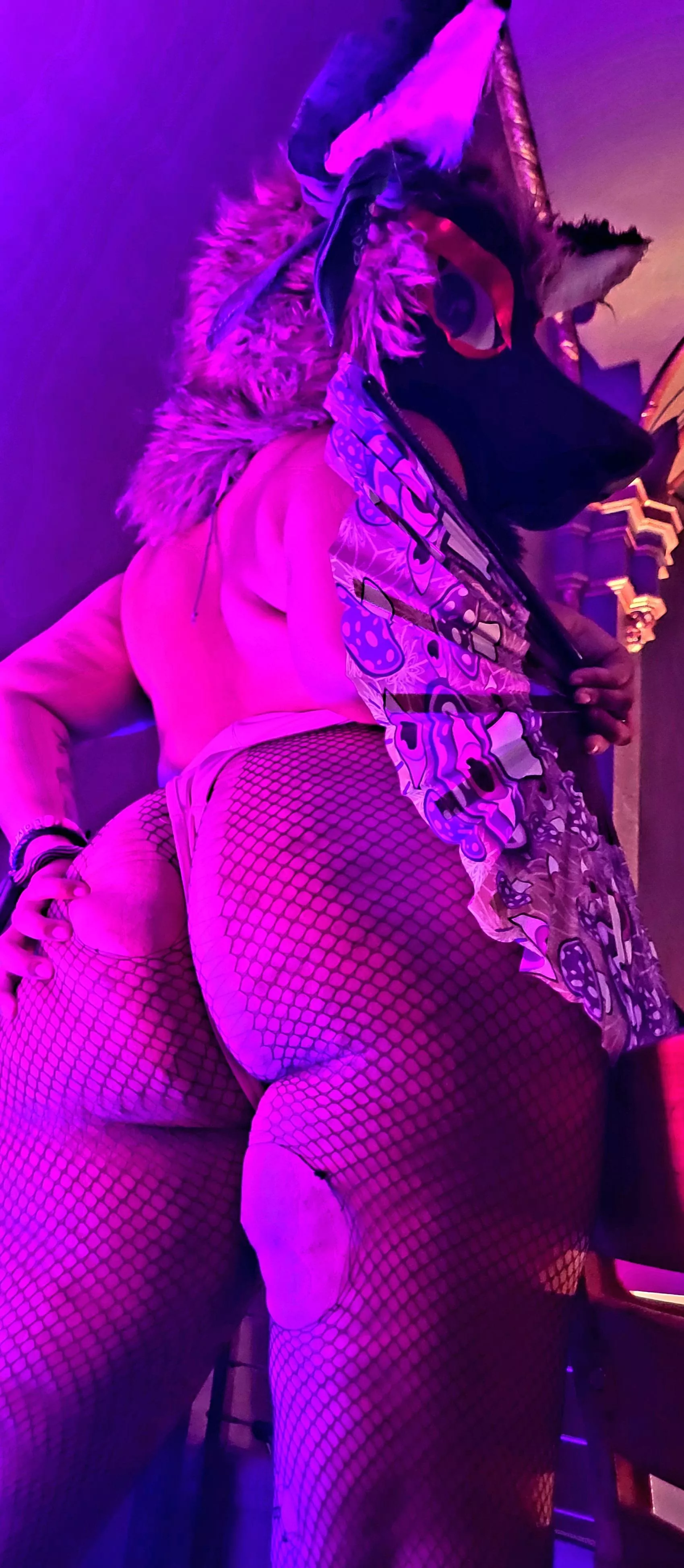 Get on your knees and worship this ass